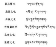 藏文翻译成扫中文的转手机软件 (藏文翻译成扫中文的转手机软件叫什么)