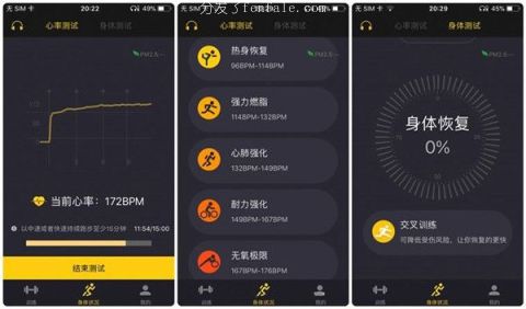 (免费测心率的软件) 有跑步测心率的哪款手机软件不准免费